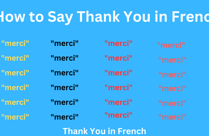 How to Say Thank You in French