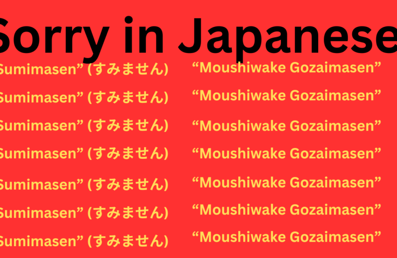 Sorry in Japanese